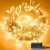 Waterproof, Extendable LED String Lights, Warm White Christmas Lights for a Festive Touch, Low Voltage Plug for Safe Usage 1