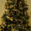 Waterproof, Extendable LED String Lights, Warm White Christmas Lights for a Festive Touch, Low Voltage Plug for Safe Usage 4
