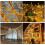 Waterproof, Extendable LED String Lights, Warm White Christmas Lights for a Festive Touch, Low Voltage Plug for Safe Usage 5