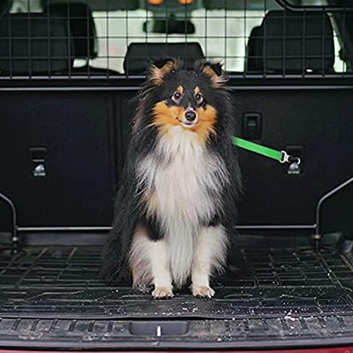 Pet Safety Solution, Adjustable Dog Seat Belt with Elastic Nylon Bungee Buffer for Comfortable, Secure Travel, Universal Compatibility Ensures Safe 2