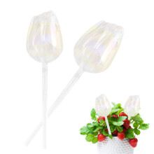 Plant watering balls, 2x selfwatering spikes Delicate flowershaped glass Ref: 3897