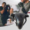 Protective Cup for Training, ShockAbsorbing Martial Arts Gear, Secure Fit  Comfortable Design, Black 3