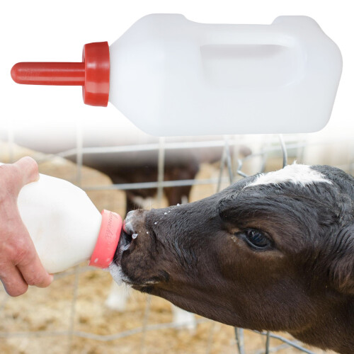 Reinforced Plastic Calf Feeders Bottle Ergonomic Handle Chews 2