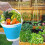 Flexible Storage Solution Collapsible,Durable Silicone Expand And Collapse Portable Design 3