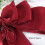 2Pack Elegante Grote Strik Gordijn Tiebacks Gespen Elastische 4
