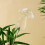 3 Pcs Mushroom Watering Planter Insert Automatic Water Irrigation Device Ref: 4527 5