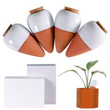 4 Pieces 320 ml SelfWatering Pikes, Cute Plant Globes, Reusable Plant Tips