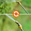 Userfriendly, adjustable spray nozzle for efficient garden care Ref: 5427 2