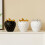 Harz-Erdbeerstatuen-Ornament für saisonale-Schwarz 4