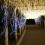 Flexible LED Rope Lights, 33ft 100 LED String Lights, USB Powered for Eco-Friendly Decoration 5
