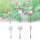 10pcs Professional Fish Scooping Net for Aquariums-Four inches 2