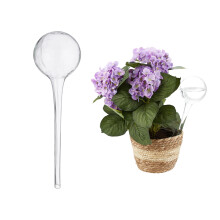 2 x Watering Balls, Dosed Plants Watering, Flower Pot, Watering Aid Office, Holiday, Glass, Diameter 9 cm, Transparent Transparent 2 Ref: 1766