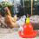 Chicken Waterer, automatic plastic poultry with inner 9.5mm water pipe for birds Ref: 8145 3