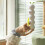 Jouet interactif pour chats, Rechargeable par USB, détection 2