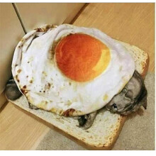 Yellow Giant Soft Egg Blanket, Unique Design Functional Decorative, Easy Care for Any Occasion (40cm)