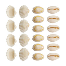 1 Set Cauri-Muschelperlen, Meeresstrand-Muschelmuscheln,