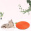 Pet's Haven, Κρεμαστό Ξυστήρι Γάτας, Στερεά Υφή & Αντοχή στις Γρατζουνιές, Διασκέδαση 5