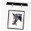 Hanging Rope Screen Frame Kit Hooks for Photo Cable Lighting System 3