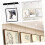 Hanging Rope Screen Frame Kit Hooks for Photo Cable Lighting System 2