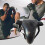Groin Guard for Kickboxing  Adjustable Groin Guard Cup Boxing Black Ref: 4021 4