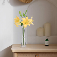 Elegant Crystal Clear Acrylic Vase, Compact Size, Durable Acrylic Plastic, Break-Resistant, Clear Concaved Hurricane Glass, Shatterproof Material,