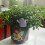 Automatic hydration cone, Garden water feed  Reusable solution for vacation watering 2