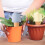 Automatic hydration cone, Garden water feed  Reusable solution for vacation watering 3