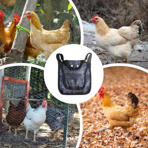 chicken saddle – back and sides – feather protection – breathable – full coverage – poultry accessories – backyard 2
