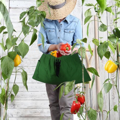 Adjustable garden apron for harvesting berries and eggs, lightweight and practical design Ref: 8514 2