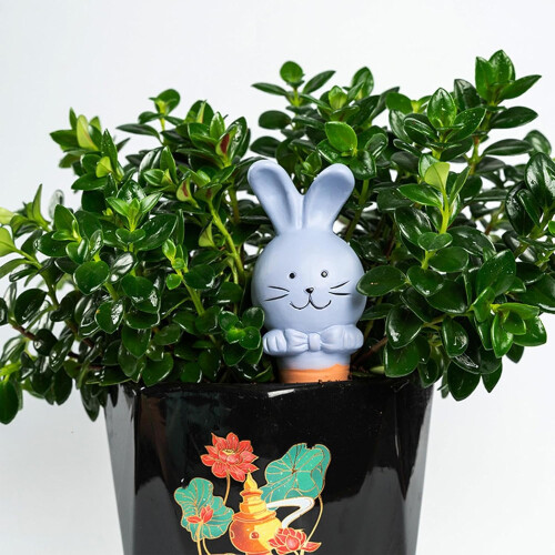 Automatic Plant Waterer for Indoor Use in Rabbit Shape  Terracotta Drip Irrigation Sticks 1