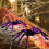Eerie Halloween Celebration Spiders with Lighting Effect for-30 5