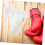 Professional Step Guard Integrated Groin Guard Comfortable White 2pcs 4