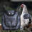 Chicken apron, elastic, adjustable, full coverage, breathable, poultry care Ref: 4810 2