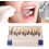 Teeth Shade, Teeth Shade, 29 Removable Color Comparison Teeth Whitening Shade Chart 2