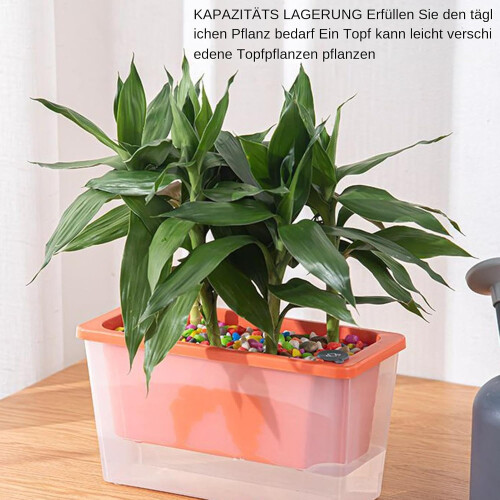 Selfwatering pots for outdoor plants  Avoid overwatering rectangular nursery box Pink 2