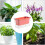 Selfwatering pots for outdoor plants  Avoid overwatering rectangular nursery box Pink 4