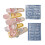 Manicure Molds 3