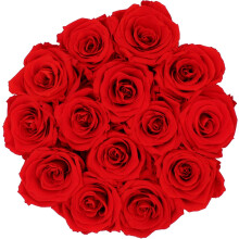 Zeitlose Eleganz: Echte Rosen halten lange, 14 konservierte Blumen, verziert mit einer eleganten Satinschleife, Unvergängliche Blumen für jeden
