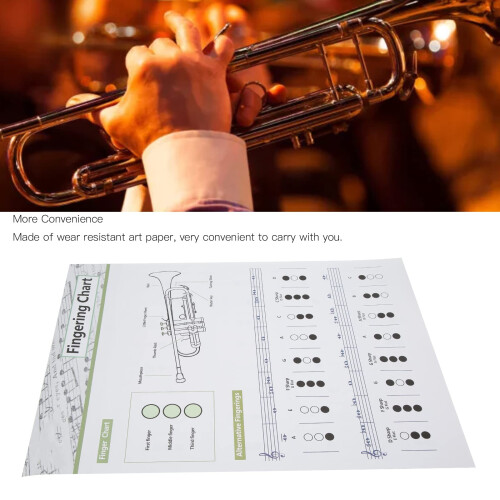 Trumpet Chord Fingering Practice Chart Coated Paper-large 1