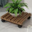 Sturdy built wooden plant shelf with efficient roll function for daily use (25 x 25 cm). 2