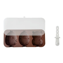 Ice Cream Molds