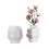 Vase Molds 1