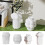 Vase Molds 9