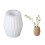 Vase Molds 1