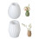 Vase Molds 8