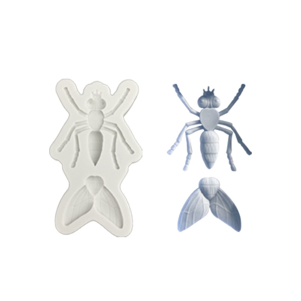 Insect Molds