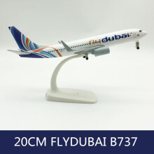 (20CM) 2024 Nuovo modello di aereo in lega pressofusa da 16 cm/20 cm FlyDubai B737 Airlines Airways Aircraf