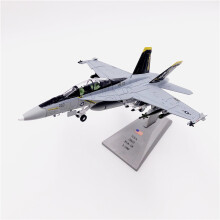 (a) Modellino in scala 1/100 F18 Grumman Tomcat F/A-18F Pirate Flag Fighter USAF Army Air Force Diecast
