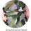 Bulk Roll Camo Netting 10m Hunting Military Sunshade Decoration 3