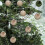 24Pcs Christmas Ornament Balls - Tree Hanging Decorations for Xmas 5